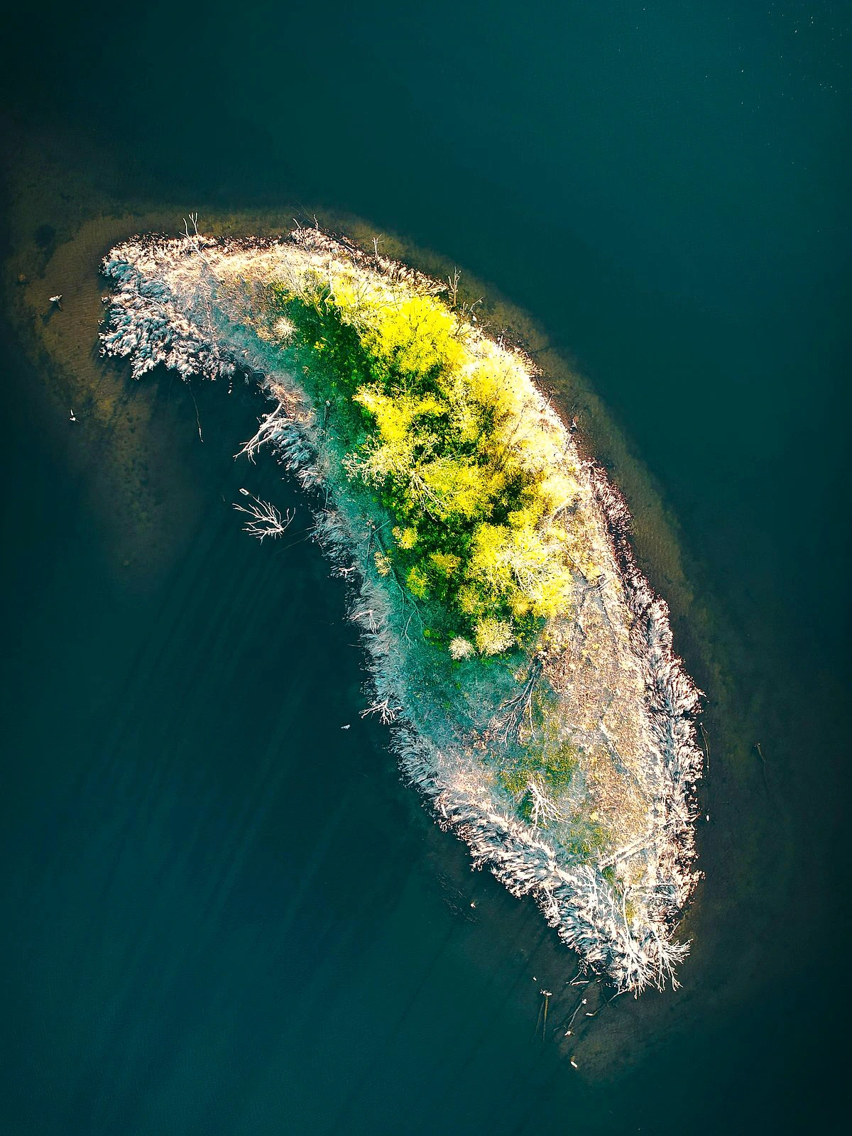 Small quiet island in the Hong Islands group, Krabi