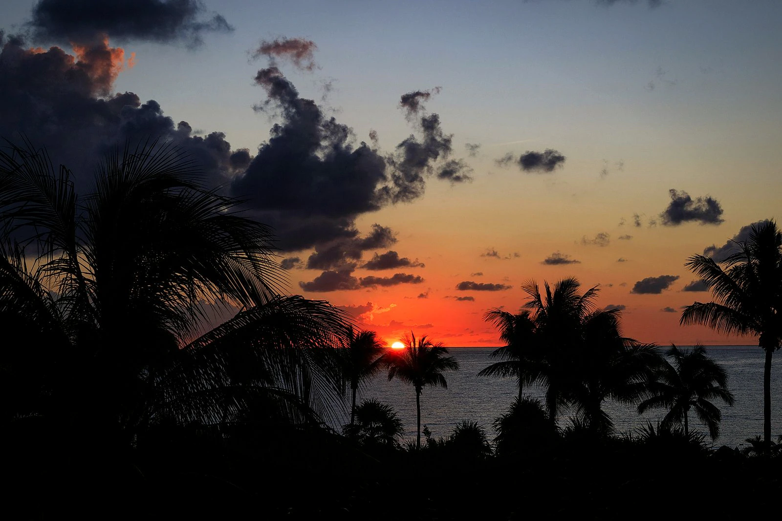 Tropical sunset over the sea with palm tree silhouettes, a classic Hong Islands photo spot